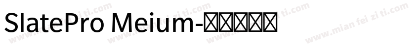 SlatePro Meium字体转换
